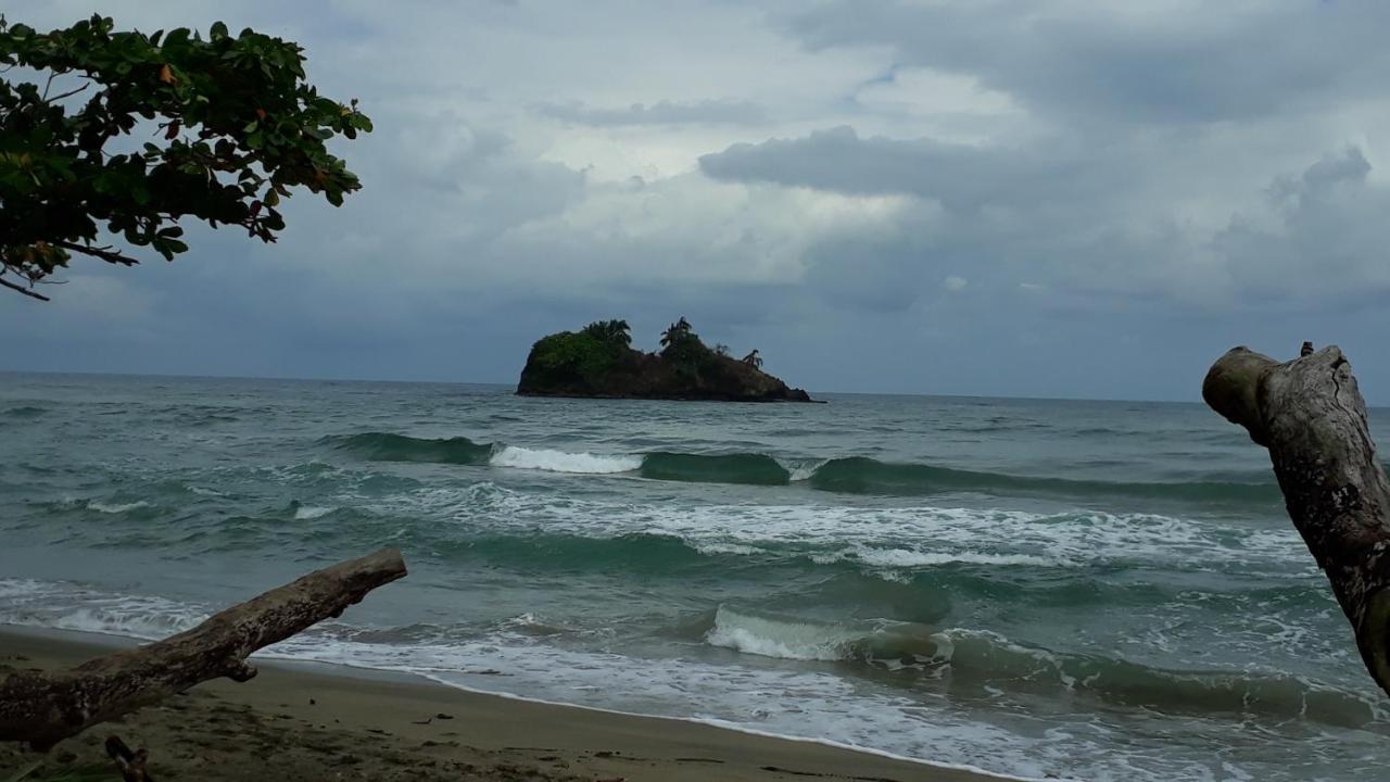 Hotel La Uvita Puerto Limon Extérieur photo